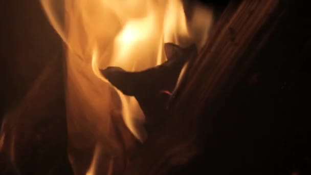 Feuer lodert in Flammen — Stockvideo