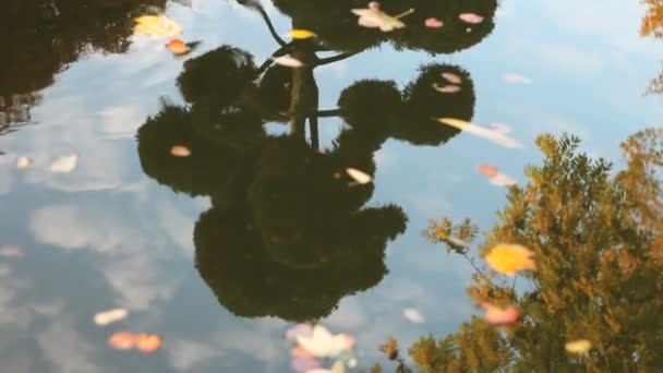 Осеннее отражение воды — стоковое видео