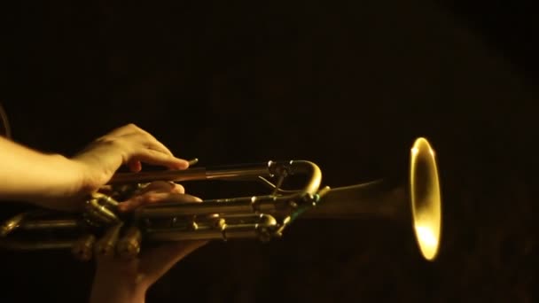 Jazz trompete — Vídeo de Stock