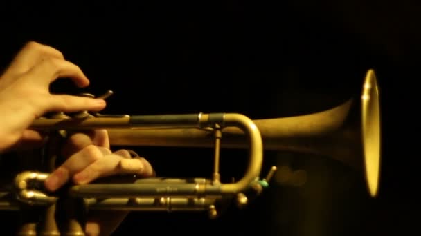 Trumpetjazz — Stockvideo