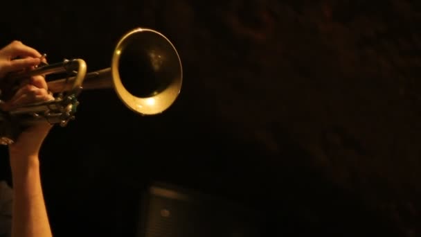 Trompet müziği — Stok video