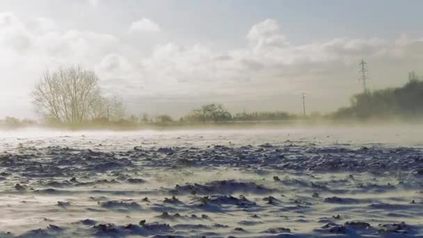Paysage enneigé