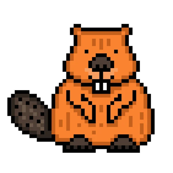 Pixel Arte Sentado Beaver Icono Aislado Sobre Fondo Blanco Logotipo — Archivo Imágenes Vectoriales