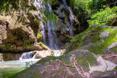 Meksika ormanında nehir şelalesi