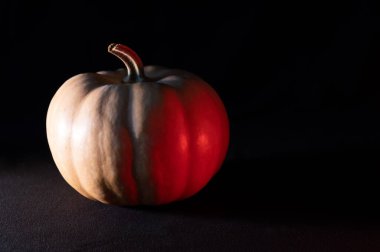 Koyu arkaplanda açık balkabağı