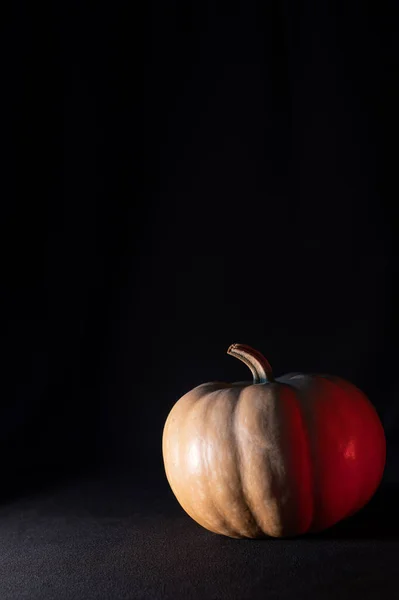 Beleuchteter Kürbis Auf Dunklem Hintergrund — Stockfoto