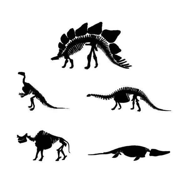 Dinozorlar Beyaz Üzerine Iskelet — Stok Vektör