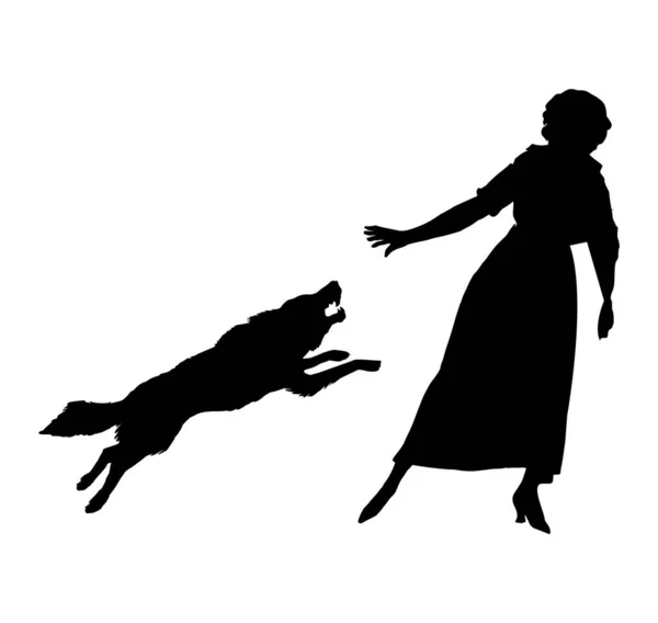 Frau Von Hund Angegriffen — Stockvektor