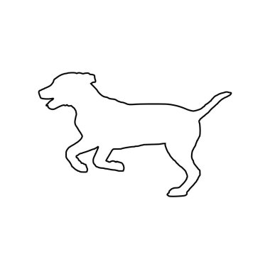 beyaz üzerinde çalışan köpek