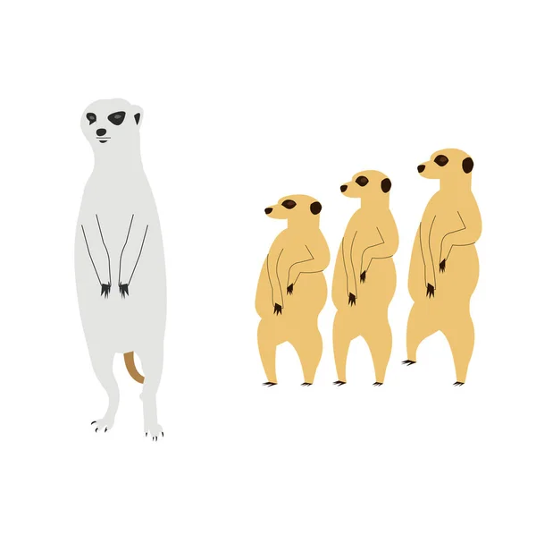 Group Meerkats White — Archivo Imágenes Vectoriales