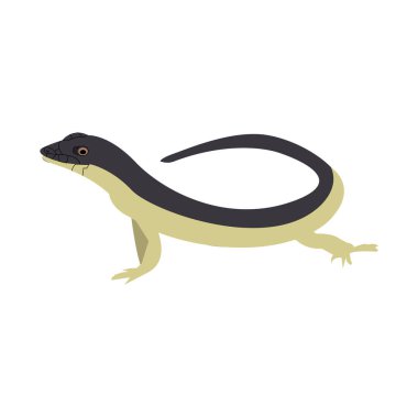 Beyaz üzerine küçük yeşil kertenkele