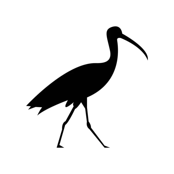 Zwart Silhouet Van Een Ibis Geïsoleerd Witte Achtergrond — Stockvector