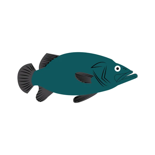 Ryby Izolovaných Bílém — Stockový vektor