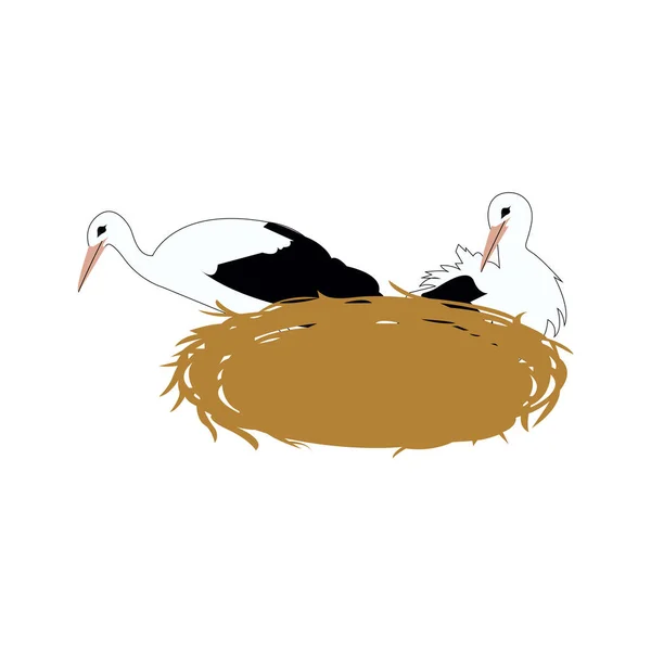 Störche Nest — Stockvektor