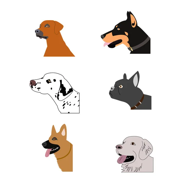 Heads Different Dog Breeds — Archivo Imágenes Vectoriales