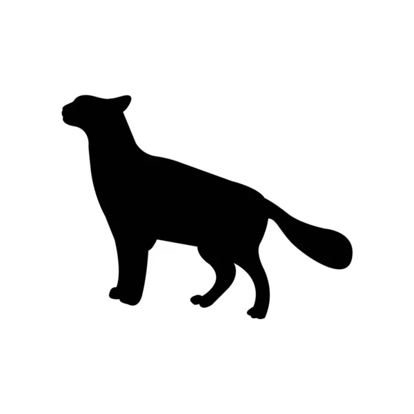 Silueta Gato Negro Blanco — Archivo Imágenes Vectoriales