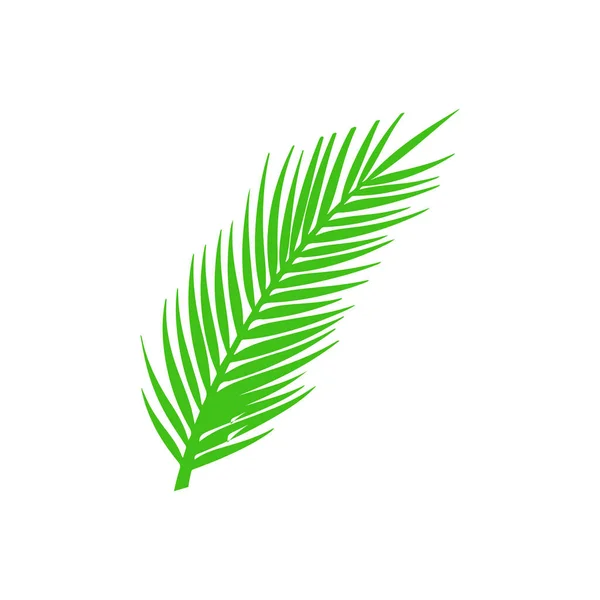 Green Palm Branch White — Stockvector