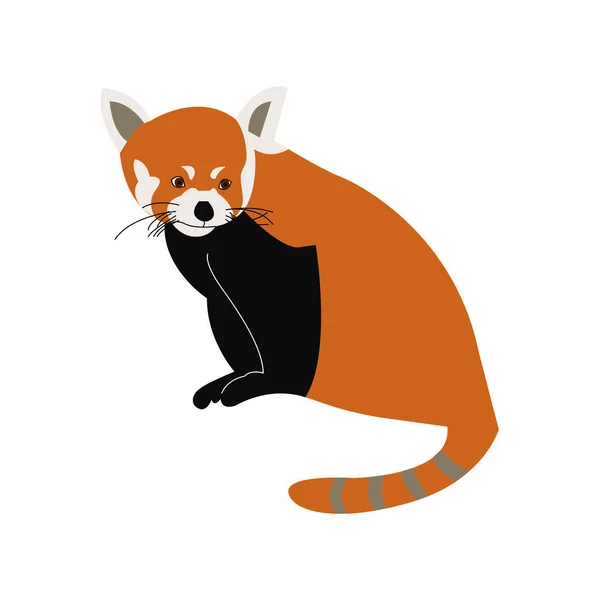 Red Panda Sitting Isolated White Background — Stockový vektor