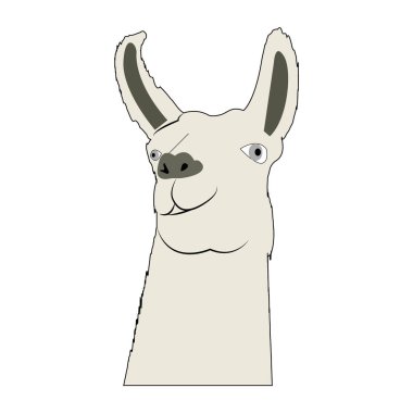 lama head isolated on white background