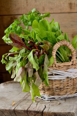 sepet içinde kuzukulağı yaprakları