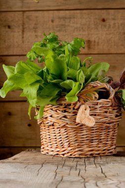 sepet içinde kuzukulağı yaprakları