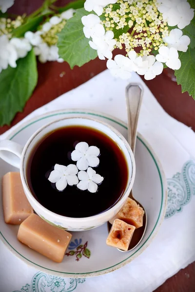 お茶と花のカップ — ストック写真