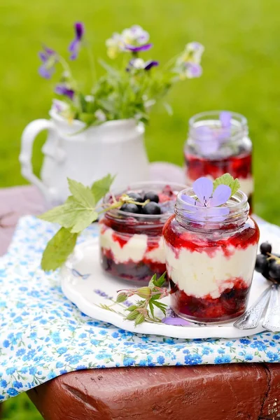 Přírodní jogurt s čerstvým ovocem v misce — Stock fotografie