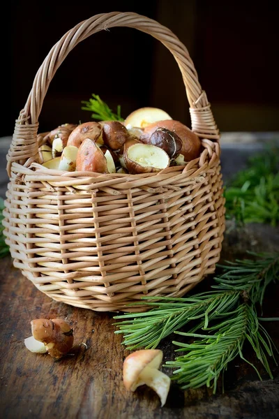 Fresh brown mushrooms in a small basket — Stock Photo, Image