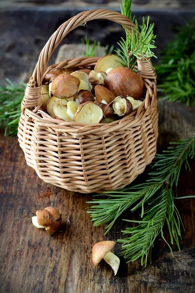 Frische braune Pilze in einem kleinen Korb — Stockfoto