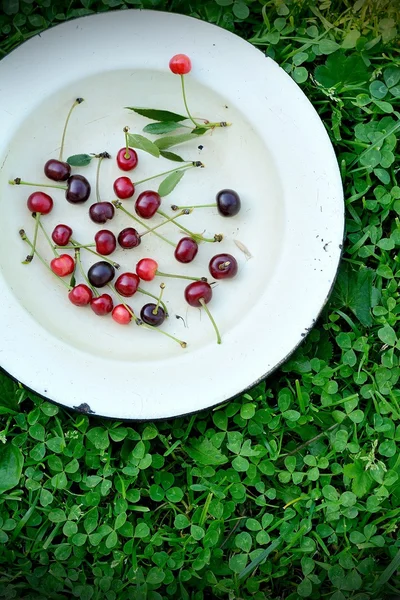 Frutos de cereja doce na grama — Fotografia de Stock