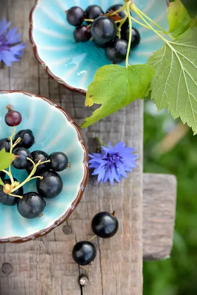 Två blå koppar med svarta vinbär på bänken byarna — Stockfoto