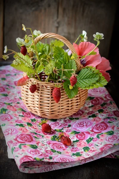 Bouquet of wild strawberries in a basket — Stock Photo, Image