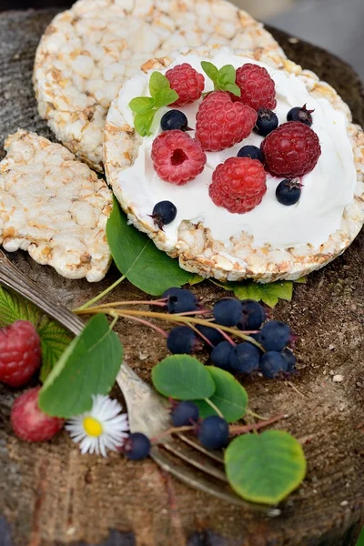 Graan brood met kaas en bessen — Stockfoto