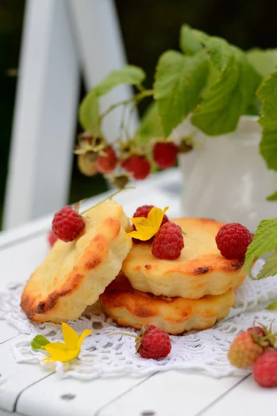 나라에서 딸기와 작은 치즈 — 스톡 사진
