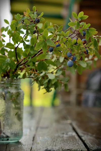 Mug with blueberry — Stock Photo, Image