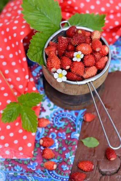 Wild strawberry in a wooden bowl — Stock Photo, Image