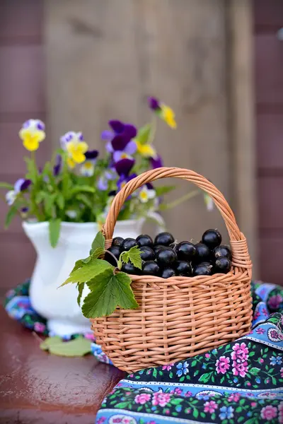 Mug with black currants — Stock Photo, Image