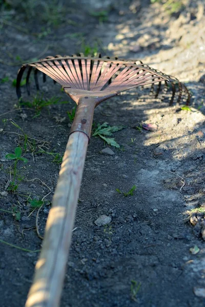 Fan rake — Stockfoto