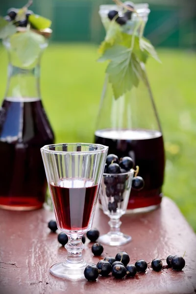 Trinken von schwarzer Johannisbeere — Stockfoto