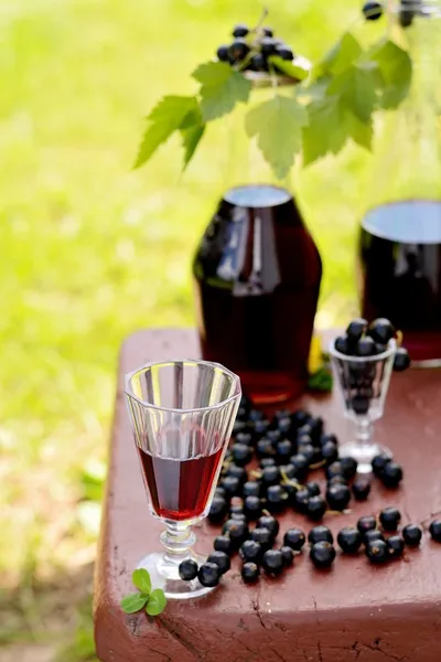 Trinken von schwarzer Johannisbeere — Stockfoto