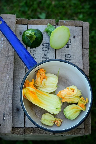 Fiori di zucchine nel mestolo — Foto Stock