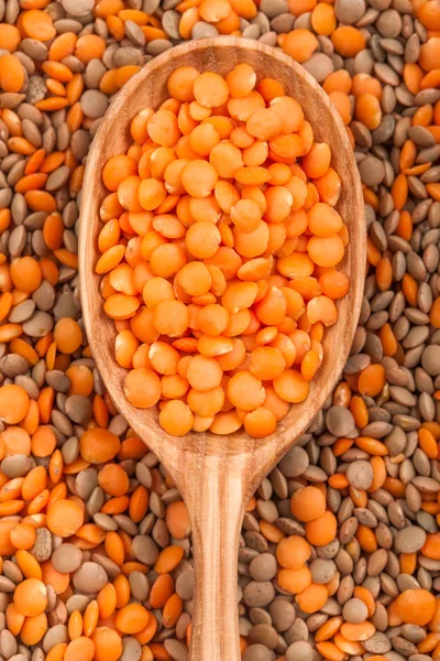 Lentil mix — Stock Photo, Image