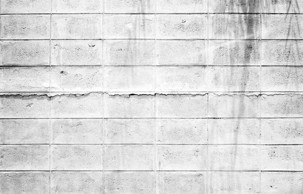 Monotone - Grunge,Crack White Brick block wall texture,backgroun — Stock Photo, Image