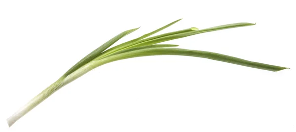 Spring onions on white background — Stock Photo, Image