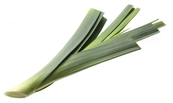 신선한 녹색 부추 양파 — 스톡 사진