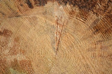 eski ahşap arka plan