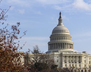 ABD'nin başkenti washington