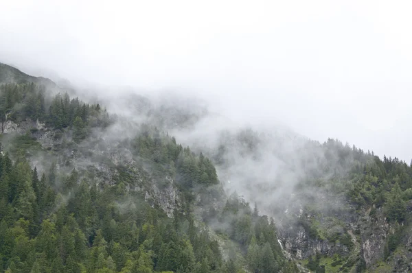 Brume dans les montagnes — Photo
