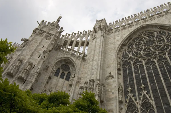 Milano gothic cathedral