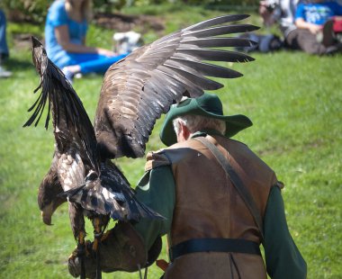 Falconer kartal kuş kanatları